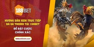 45 Huong dan xem truc tiep da ga thomo tai 188Bet de dat cuoc chinh xac