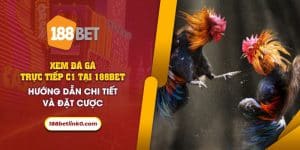 46 Xem da ga truc tiep C1 tai 188Bet Huong dan chi tiet va dat cuoc